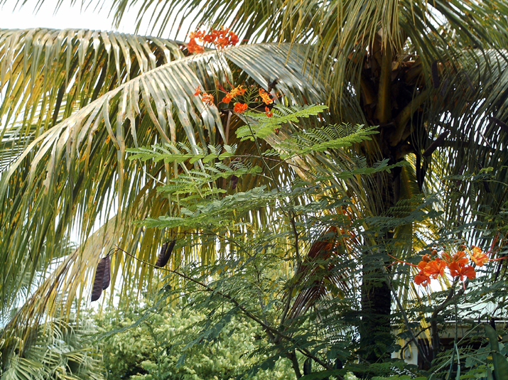 15 - Bungalow 005.jpg